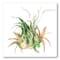 Designart - Tropical Leaves Air Plant Succulent - Farmhouse Canvas Wall Art Print